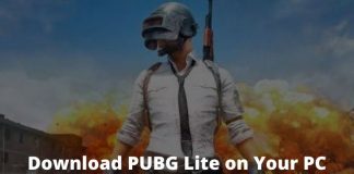 Best Trick To Download PUBG Lite on Your PC