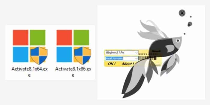 Activation of Windows 8 Using Activator