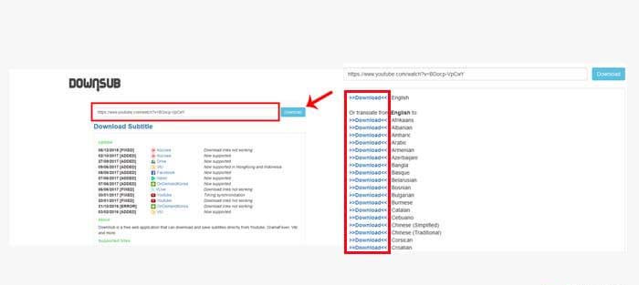 downsub youtube subtitles