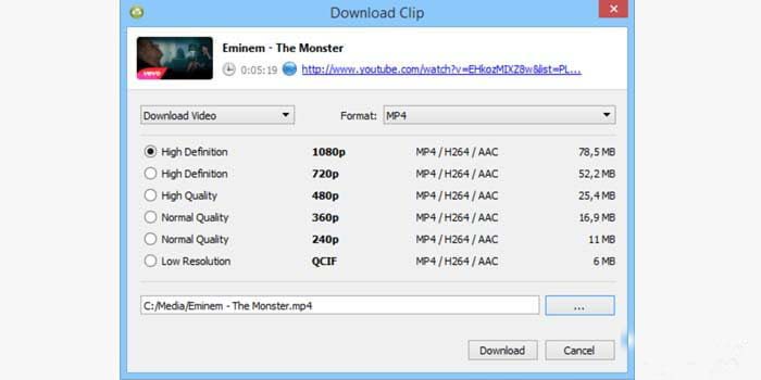 YouTube Video Subtitle Download application