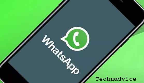 Contact the WhatsApp Support Service