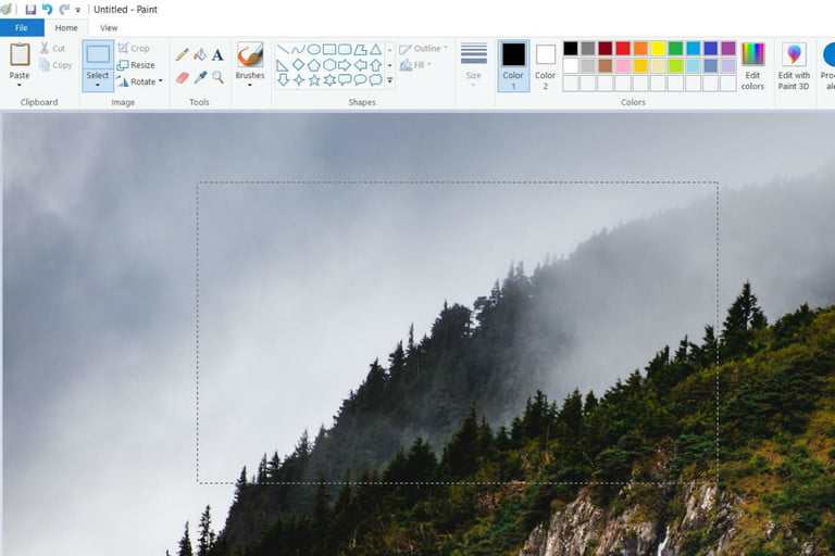 paste the screenshot (Clipboard methods only)