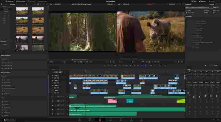 Davinci Resolve Free