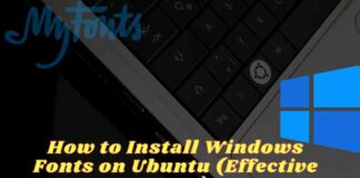 How to Install Windows Fonts on Ubuntu (Effective Ways)