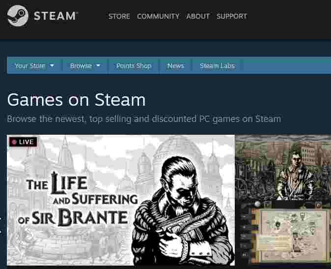 Steam