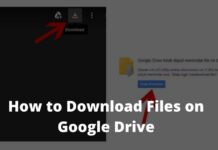 How to Download Files From Google Drive