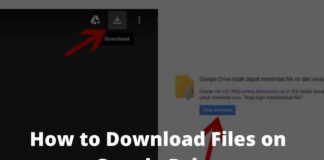 How to Download Files From Google Drive