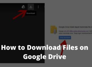 How to Download Files From Google Drive