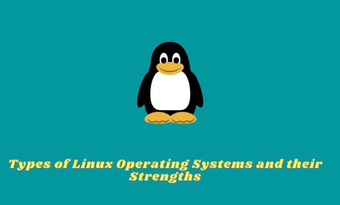 Types Of Linux Operating Systems And Their Strengths 2024 - Technadvice