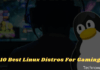 10 Best Linux Distros For Gaming Best In 2021