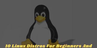 10 Linux Distros For Beginners And Stable To Use
