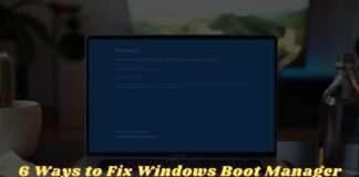 6 Ways to Fix Windows Boot Manager Error 0xc00000e9 PC