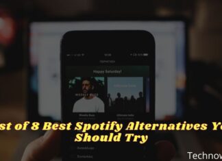 List of 8 Best Spotify Alternatives You Should Try