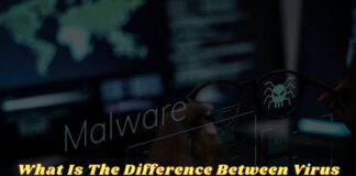 What Is The Difference Between Virus And Malware
