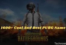 1600+ Cool And Best PUBG Name
