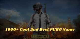 1600+ Cool And Best PUBG Name