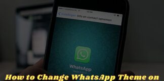 How to Change WhatsApp Theme on Smartphone