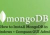 3 Ways To Install MongoDB in Windows + Compass GUI Admin