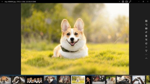 123 Photo Viewer
