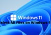 How to Select All Files on Windows 11 PC Laptop