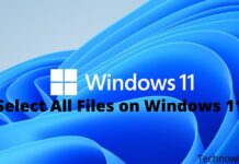 How to Select All Files on Windows 11 PC Laptop