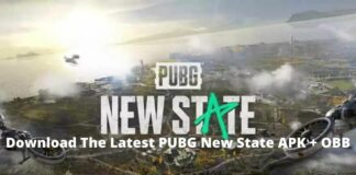 Download The Latest PUBG New State APK + OBB
