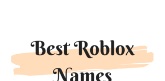 200+ Best Cool, Funny and Nice Roblox Names