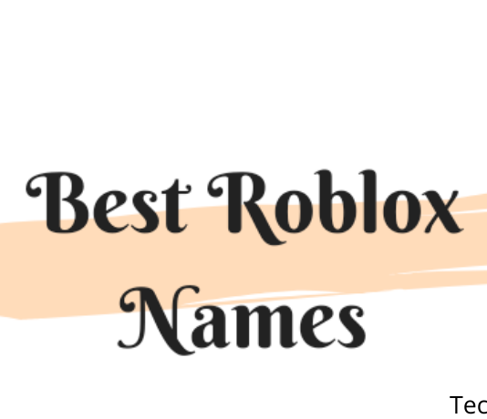 200+ Best Cool, Funny and Nice Roblox Names