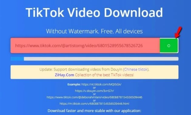 Download TikTok Videos Without Watermark Online
