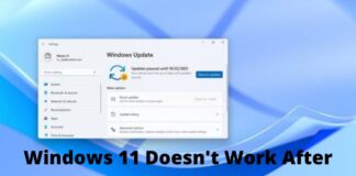 What To Do if Windows 11 Doesn't Work After Updating