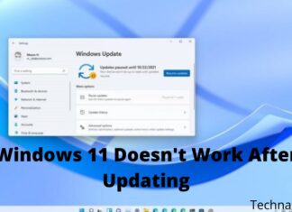 What To Do if Windows 11 Doesn't Work After Updating