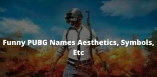 1000+ Funny PUBG Names Aesthetics, Symbols, Etc