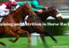 The Science of Speed Training and Nutrition in Horse Racing