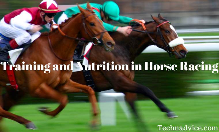 The Science of Speed Training and Nutrition in Horse Racing