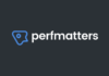 Perfmatters Optimization Guide Best Settings & How-to Tutorial